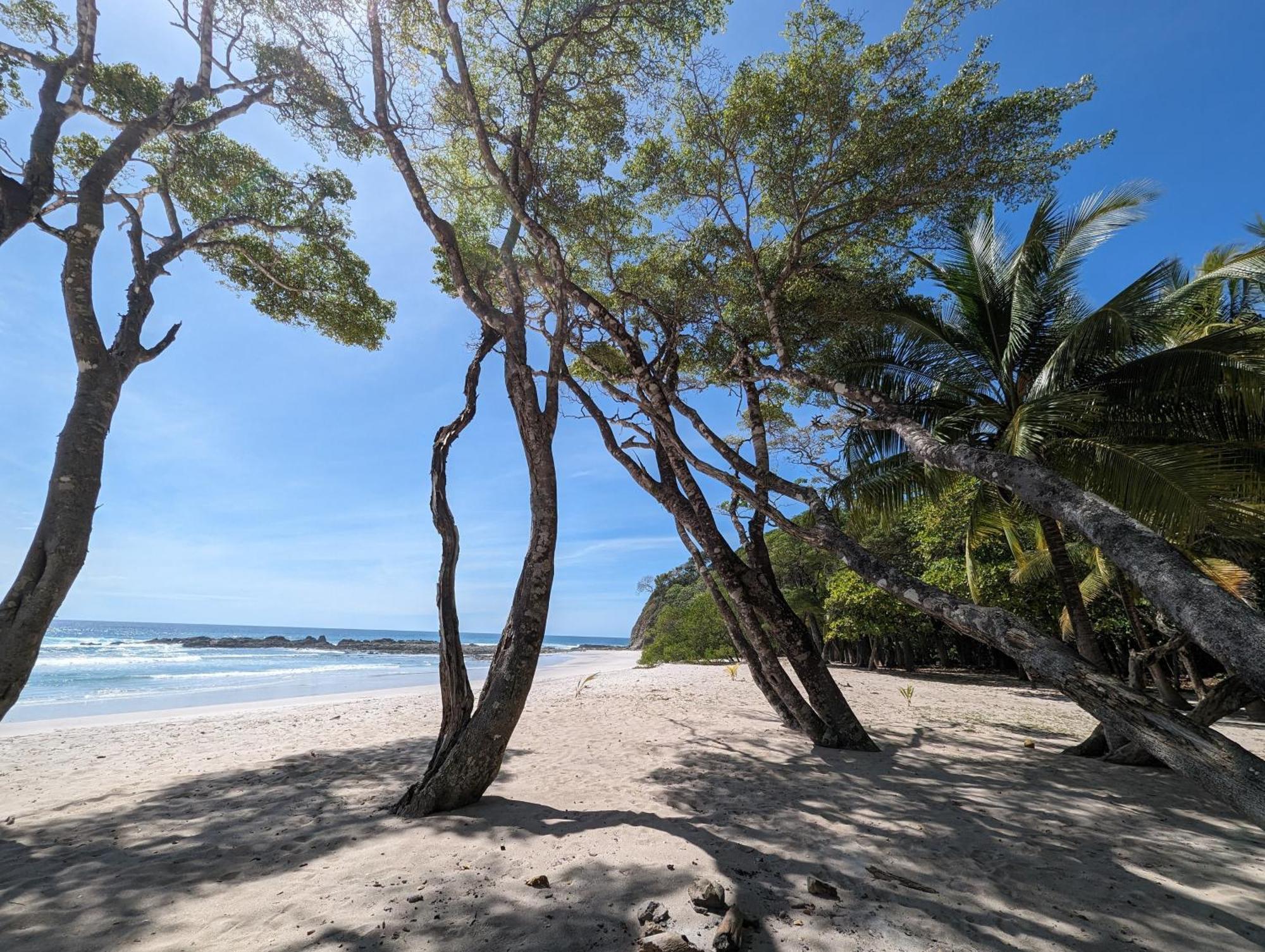 Spirit Of Jungle Lodge Самара Экстерьер фото