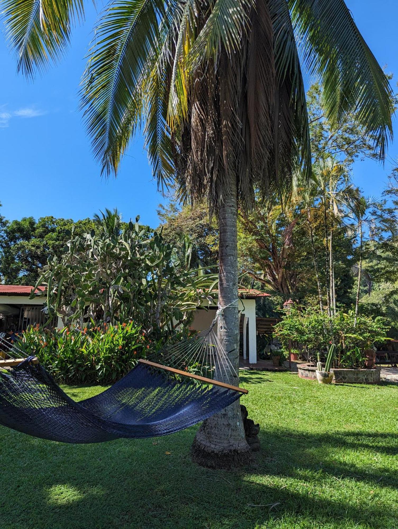 Spirit Of Jungle Lodge Самара Экстерьер фото